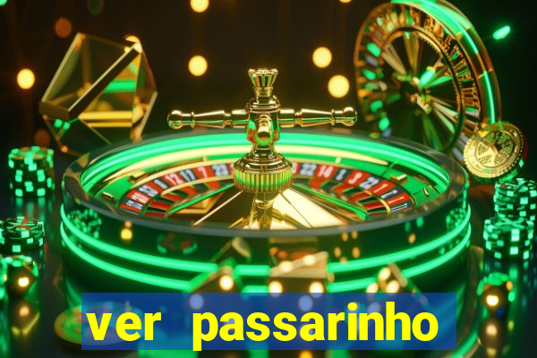 ver passarinho morto significado espiritual